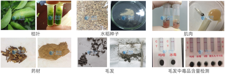 研磨效果圖